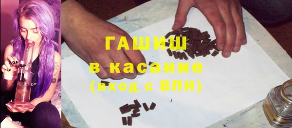 индика Алзамай
