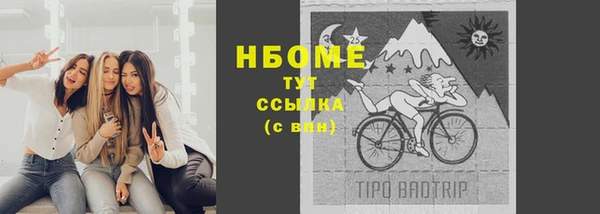 индика Алзамай
