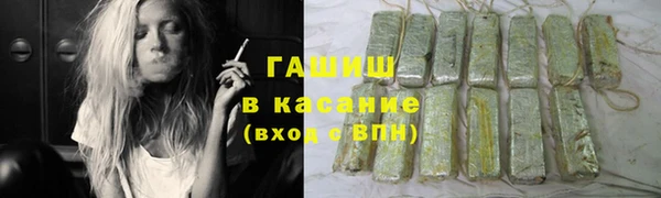 индика Алзамай