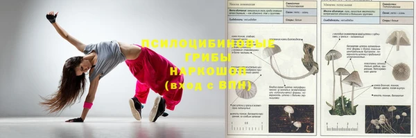 индика Алзамай