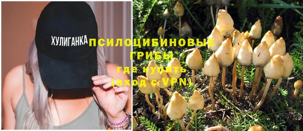 синтетический гашиш Алексеевка