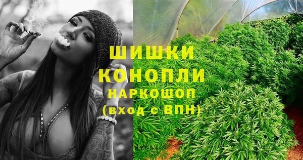 индика Алзамай