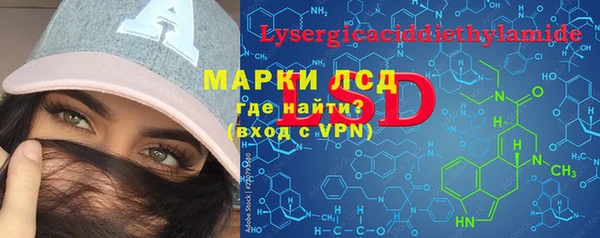 индика Алзамай